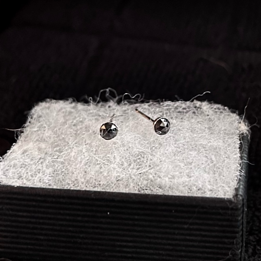 Black Diamond and Silver Stud Earrings | NWOT